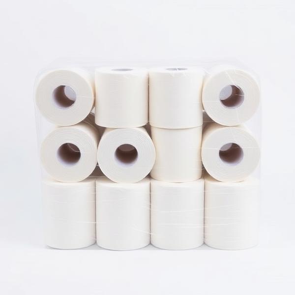 Papel Higiénico 12 rolos
